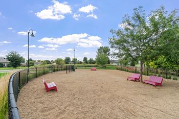 Dog park